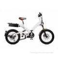 Newest design most popular brushed electric bicycle